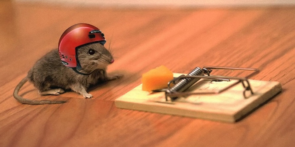 most efficient mouse trap